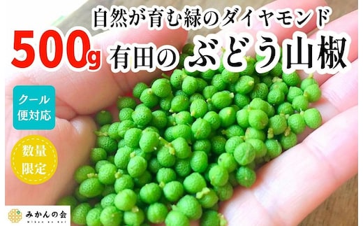 ［5月下旬出荷予定］ぶどう山椒 500g 実山椒 生山椒 クール便対応 和歌山県産