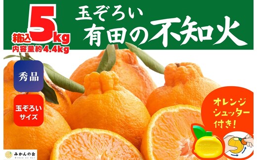 不知火 (しらぬい) 秀品 玉ぞろい 箱込 5kg (内容量約4.4kg) 和歌山県産 産地直送［みかんの会］
