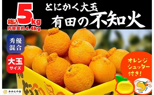 不知火 大玉 どっこいしょ 箱込 5kg (内容量約 4.4kg) 秀優混合 和歌山県産［みかんの会］