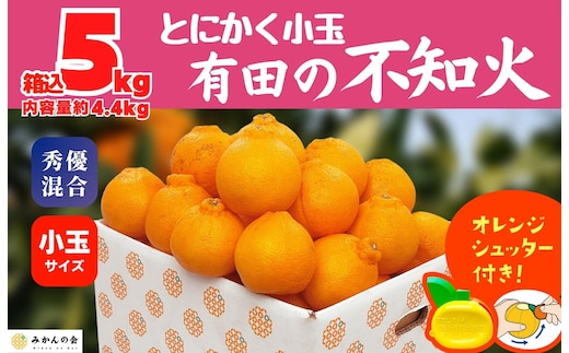 不知火 とにかく 小玉 箱込 5kg(内容量約 4.4kg) 秀優品混合 和歌山県産 産地直送［みかんの会］