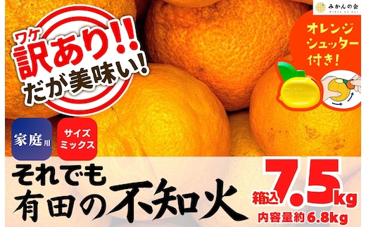 不知火 訳あり それでも 有田の不知火 箱込 7.5kg(内容量約 6.8kg) サイズミックス 和歌山県産 産地直送［みかんの会］