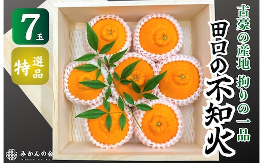 不知火 古豪の産地 田口の不知火 7玉木箱入 特選品 産地直送 贈答用 数量限定［みかんの会］
