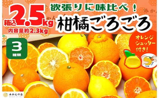 旬の柑橘食べ比べ 柑橘ごろごろ 3種 箱込 2.5kg(内容量 2.3kg) 秀品 優品 混合 和歌山県産 産地直送 【おまけ付き】【みかんの会】