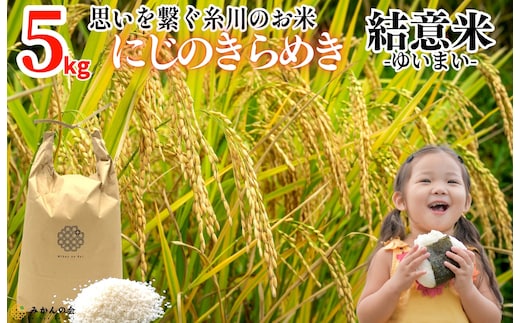 お米 5kg 思いを繋ぐ糸川のお米 結意米 【ゆいまい】和歌山県産 【みかんの会】