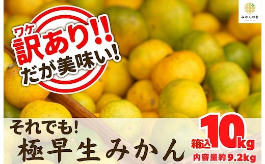 訳あり 極早生 箱込 10kg (内容量約 9.2kg) サイズミックス 有田みかん 和歌山県産 【みかんの会】［2026年10月上旬頃より順次発送予定］