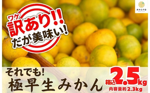 訳あり 極早生 箱込 2.5kg (内容量約 2.3kg) サイズミックス 有田みかん 和歌山県産 【みかんの会】［2026年10月上旬頃より順次発送予定］