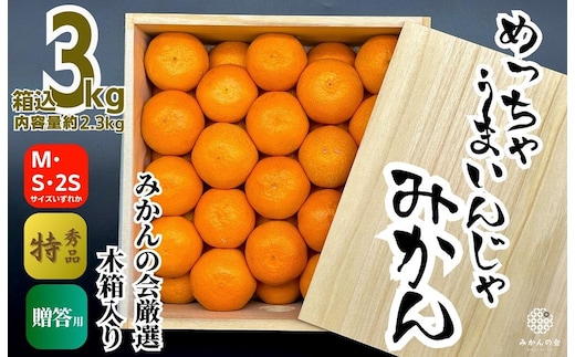 みかん めっちゃうまいんじゃ 木箱入 約3kg （内容量2.3kg）みかんの会厳選 特選品 M S 2S サイズのいずれか 和歌山県産 産地直送 S品 贈答用 ［2025年11月中旬より2026年1月中旬頃順次出荷予定］［みかんの会］