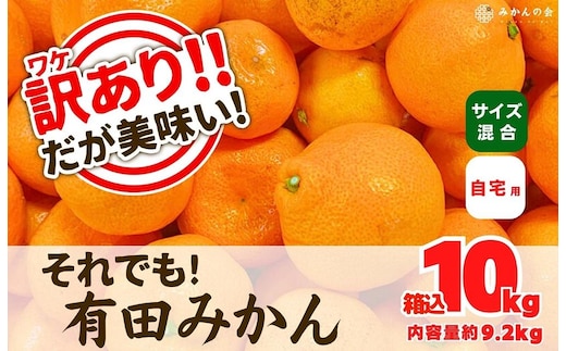 訳あり それでも 有田みかん 箱込 10kg (内容量約 9.2kg) サイズミックス B品 有田みかん 和歌山県産 産地直送 家庭用［2025年11月中旬より2026年1月中旬頃順次出荷予定］［みかんの会］