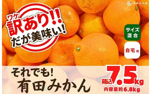 訳あり それでも 有田みかん 箱込 7.5kg (内容量約 6.8kg) サイズミックス B品 有田みかん 和歌山県産 産地直送 家庭用［2025年11月中旬より2026年1月中旬頃順次出荷予定］［みかんの会］