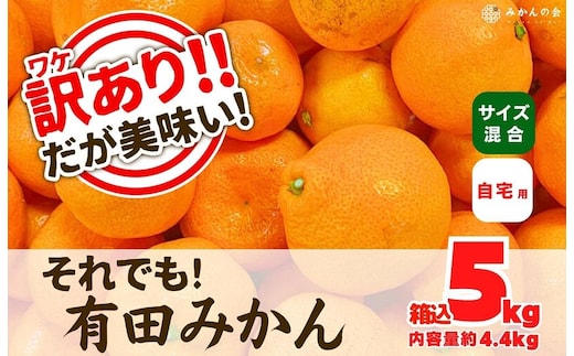 訳あり それでも 有田みかん 箱込 5kg (内容量約 4.4kg) サイズミックス B品 有田みかん 和歌山県産 産地直送 家庭用［2025年11月中旬より2026年1月中旬頃順次出荷予定］［みかんの会］
