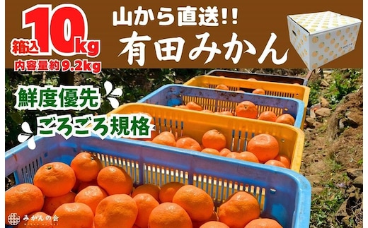 みかん 山から直送 箱込 10kg ( 内容量約 9.2kg ) 鮮度優先ごろごろ規格 和歌山県産 産地直送 家庭用［2025年11月中旬より2026年1月中旬頃順次出荷予定］［みかんの会］