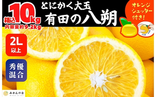 八朔 (はっさく) とにかく 大玉 どっこいしょ 箱込 10kg (内容量約 9.2kg) 秀品 優品 混合 2Lサイズ以上 和歌山県産 産地直送［おまけ付き］［みかんの会］