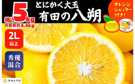 八朔 (はっさく) とにかく 大玉 どっこいしょ 箱込 5kg (内容量約 4.4kg) 秀品 優品 混合 2Lサイズ以上 和歌山県産 産地直送［おまけ付き］［みかんの会］