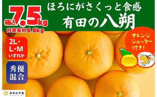 八朔 (はっさく) 玉ぞろい 箱込 7.5kg(内容量約 6.8kg) 2L L Mサイズのいずれか 秀品 優品 混合 和歌山県産 産地直送［おまけ付き］［みかんの会］