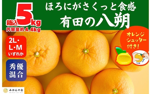 八朔 (はっさく) 玉ぞろい 箱込 5kg(内容量約 4.4kg) 2L L Mサイズのいずれか 秀品 優品 混合 和歌山県産 産地直送［おまけ付き］［みかんの会］