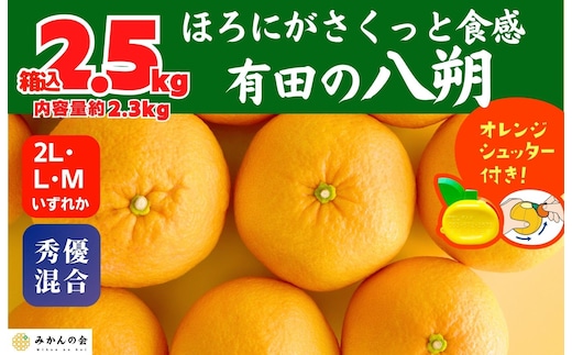 八朔 (はっさく) 玉ぞろい 箱込 2.5kg(内容量約 2.3kg) 2L L Mサイズのいずれか 秀品 優品 混合和歌山県産 産地直送［おまけ付き］［みかんの会］