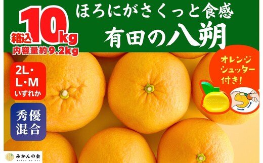 八朔 (はっさく) 玉ぞろい 箱込 10kg(内容量約 9.2kg) 2L L Mサイズのいずれか 秀品 優品 混合和歌山県産 産地直送［おまけ付き］［みかんの会］
