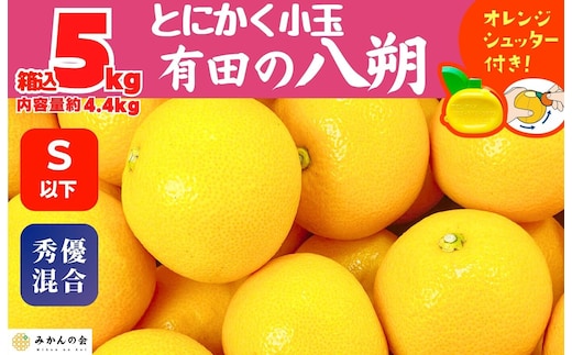 八朔 (はっさく) とにかく 小玉 箱込 5kg(内容量約 4.4kg) 秀品 優品 混合 Sサイズ以下 和歌山県産 産地直送［おまけ付き］［みかんの会］