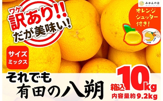 八朔 訳あり それでも 有田の八朔 (はっさく) 箱込 10kg (内容量約 9.2kg) サイズミックス B品 和歌山県産 産地直送［おまけ付き］［みかんの会］