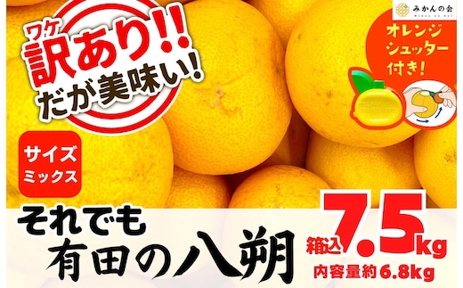 八朔 訳あり それでも 有田の八朔 (はっさく) 箱込 7.5kg (内容量約 6.8kg) サイズミックス B品 和歌山県産 産地直送［おまけ付き］［みかんの会］