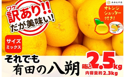 八朔 訳あり それでも 有田の八朔 (はっさく) 箱込 2.5kg (内容量約 2.3kg) サイズミックス B品 和歌山県産 産地直送［おまけ付き］［みかんの会］