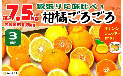 旬の柑橘食べ比べ 柑橘ごろごろ 3種 箱込 7.5kg(内容量約 6.8kg) 秀品 優品 混合 和歌山県産 産地直送 【おまけ付き】【みかんの会】