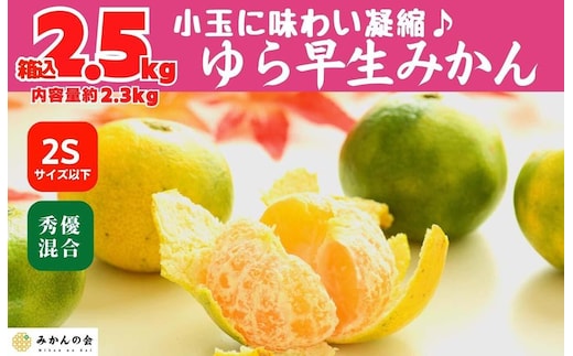 ゆら早生 みかん 小玉ちゃん 箱込2.5kg(内容量 2.3kg) 3S～Sサイズ混合 秀優混合 有田みかん 和歌山県産 【みかんの会】［2026年10月下旬頃より順次発送予定］