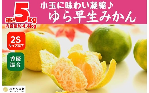 ゆら早生 みかん 小玉ちゃん 箱込5kg(内容量 4.4kg)3S～Sサイズ混合 秀優混合 有田みかん 和歌山県産 【みかんの会】［2026年10月下旬頃より順次発送予定］