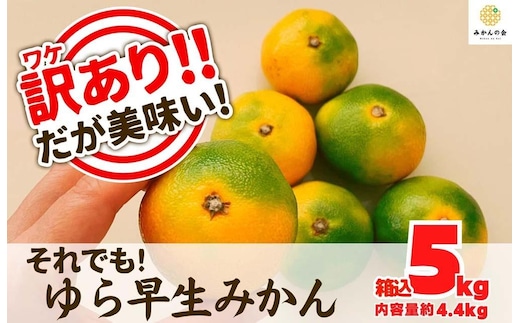 訳あり ゆら早生 みかん 箱込5kg(内容量 4.4kg)サイズミックス 有田みかん 和歌山県産 【みかんの会】［2026年10月下旬頃より順次発送予定］