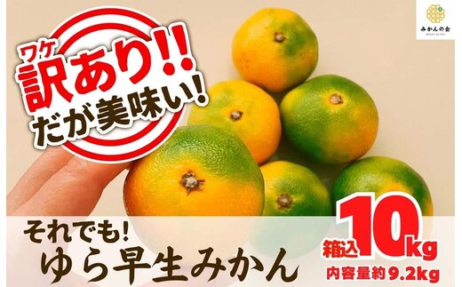 訳あり ゆら早生 みかん 箱込10kg(内容量 9.2kg)サイズミックス 有田みかん 和歌山県産 【みかんの会】［2026年10月下旬頃より順次発送予定］
