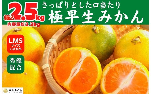 みかん 極早生 箱込 2.5kg (内容量約 2.3kg) S/M/Lサイズのいずれか 秀品 優品 混合 有田みかん 和歌山県産 【みかんの会】［2026年10月上旬頃より順次発送予定］