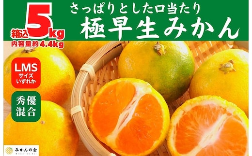 みかん 極早生 箱込 5kg (内容量約 4.4kg) S/M/Lサイズのいずれか 秀品 優品 混合 有田みかん 和歌山県産 【みかんの会】［2026年10月上旬頃より順次発送予定］