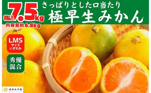 みかん 極早生 箱込 7.5kg (内容量約 6.8kg) S/M/Lサイズのいずれか 秀品 優品 混合 有田みかん 和歌山県産 【みかんの会】［2026年10月上旬頃より順次発送予定］