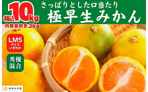 みかん 極早生 箱込 10kg (内容量約 9.2kg) S/M/Lサイズのいずれか 秀品 優品 混合 有田みかん 和歌山県産 【みかんの会】［2026年10月上旬頃より順次発送予定］