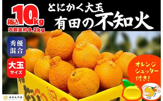 不知火 大玉 どっこいしょ 箱込 10kg (内容量約 9.2kg) 秀優混合 和歌山県産［みかんの会］