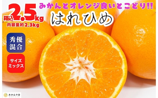 はれひめ みかん 箱込 2.5kg（内容量約 2.3kg） 秀品 優品 混合 サイズミックス 和歌山県産 産地直送【みかんの会】