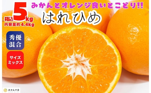 はれひめ みかん 箱込 5kg（内容量約 4.4kg） 秀品 優品 混合 サイズミックス 和歌山県産 産地直送【みかんの会】