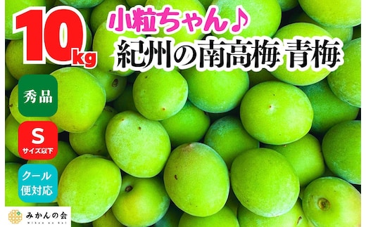 ［2026年6月上旬出荷］南高梅 青梅 秀品 小粒ちゃん 約10kg Sサイズ以下 和歌山県産 紀州有田 産地直送 クール便対応 梅酒作り用 梅ジュース作り用