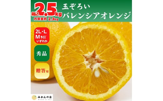 バレンシアオレンジ 国産 玉ぞろい 秀品 箱込 2.5kg (内容量 2.3kg ) 2L L M サイズのいずれか 和歌山県産 産地直送【みかんの会】