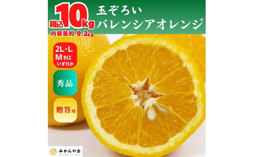 バレンシアオレンジ 国産 玉ぞろい 秀品 箱込 10kg (内容量 9.2kg ) 2L L M サイズのいずれか 和歌山県産 産地直送【みかんの会】