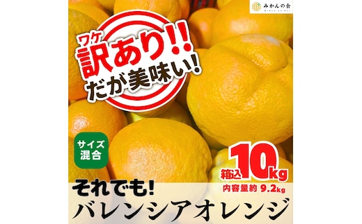 訳あり バレンシアオレンジ 国産 箱込 10kg (内容量 9.2kg ) サイズミックス 和歌山県産 産地直送 みかんの会
