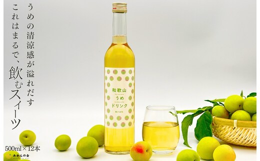 和歌山のうめドリンク 500ml × 12本 和歌山産 紀州の梅使用 無添加 ストレート 【みかんの会】