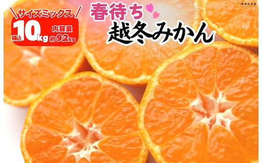 みかん 春待ち 越冬みかん 箱込10kg(内容量9.2kg) 等級／サイズミックス 和歌山県産 産地直送