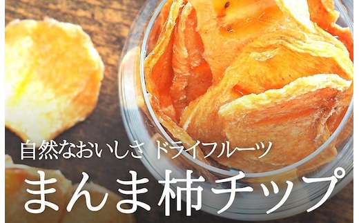 ドライフルーツ 柿チップ 200g ( 40g × 5袋 ) 和歌山県産 果物使用 自社製造 【みかんの会】