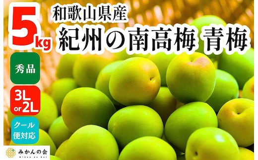 ［2026年6月上旬出荷］青梅 南高梅 5kg 秀品 3Lまたは2Lサイズ 和歌山県産 A品 梅酒作り用 梅ジュース作り用