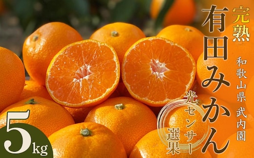 【先行受付】 武内園 和歌山県産 有田みかん 特選 秀品 5kg 完熟 光センサー