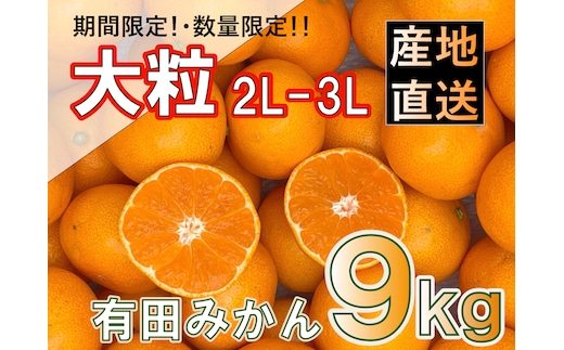 ［先行予約］和歌山県産 有田みかん 大玉 大粒 9kg 2L～3L