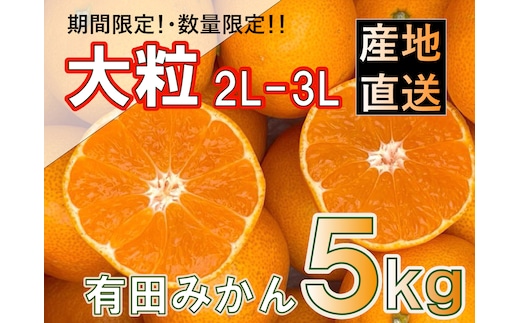 ［先行予約］和歌山県産 有田みかん 大玉 大粒 5kg 2L～3L