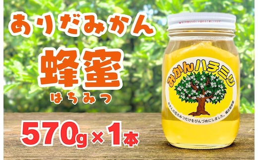 ありだみかん蜂蜜（570ｇ／化粧箱入り）