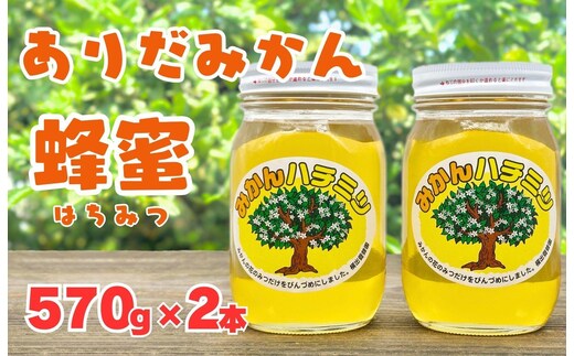 ありだみかん蜂蜜 2本セット（570ｇ×２本）